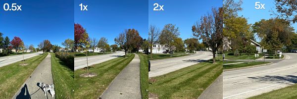 zoom in - point and shoot camera vs smartphone 