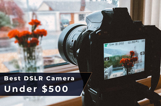 best dslr camera under 500 dollars